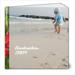 Barbados 2009 - 8x8 Photo Book (20 pages)