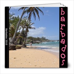 THEBadbados Book - 8x8 Photo Book (20 pages)