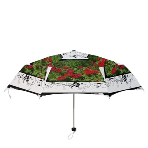 Folding Umbrella 