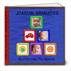 Joaquin s First Few Months - 8x8 Photo Book (20 pages)