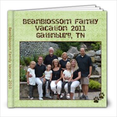 Gatlinburg - 8x8 Photo Book (20 pages)