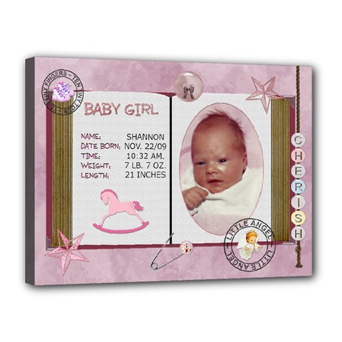 Newborn Baby Girl 16x12 Stretched Canvas