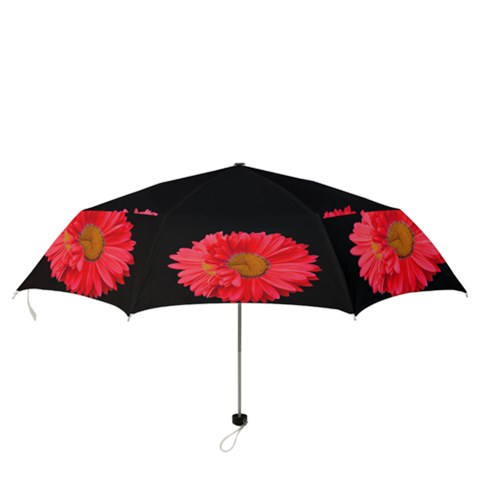 Folding Umbrella 