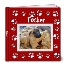 Tucker - 6x6 Photo Book (20 pages)