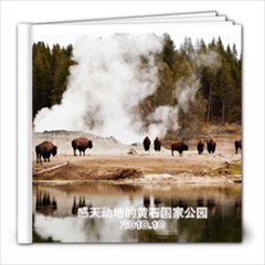 感天动地的黄石国家公园 - 8x8 Photo Book (20 pages)