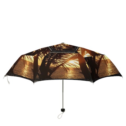 Folding Umbrella 