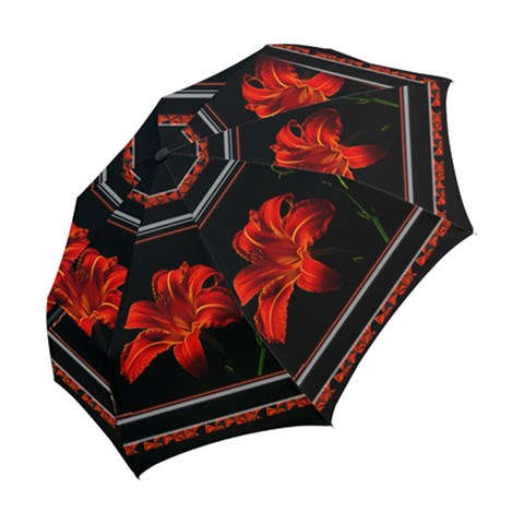 Folding Umbrella 