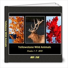 Yellowstone - 8x8 Photo Book (20 pages)