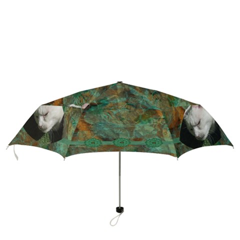 Folding Umbrella 