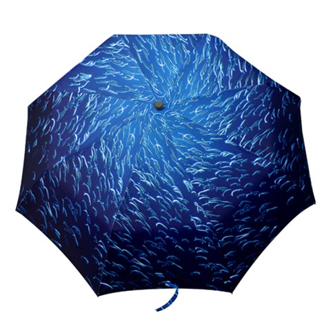 Folding Umbrella 