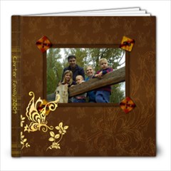 2009 - 8x8 Photo Book (20 pages)