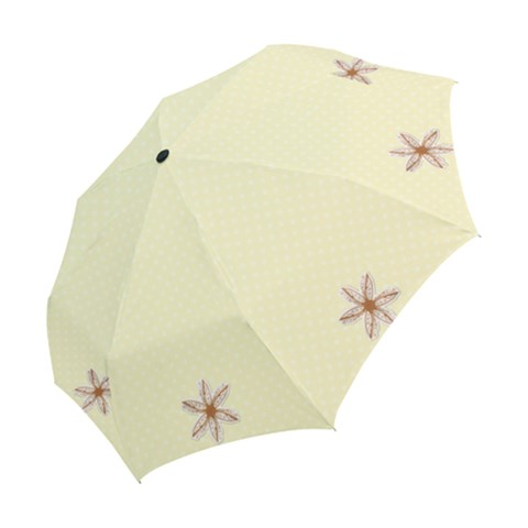 Folding Umbrella 