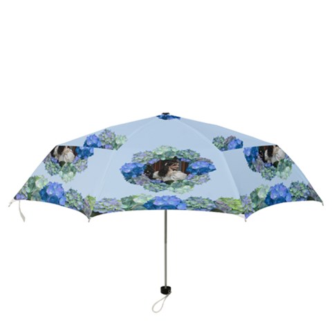 Folding Umbrella 