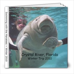 manatees - 8x8 Photo Book (20 pages)