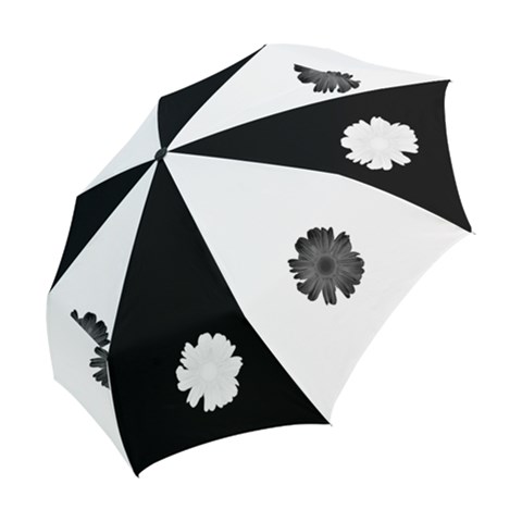 Folding Umbrella 