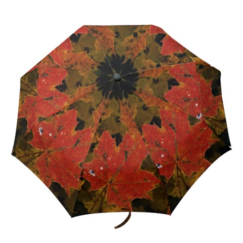 Folding Umbrella 