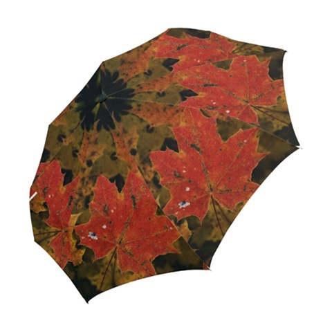 Folding Umbrella 