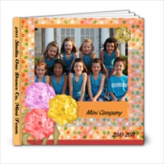 2011 Mini s Scrapbook - 6x6 Photo Book (20 pages)