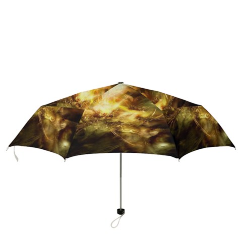 Folding Umbrella 