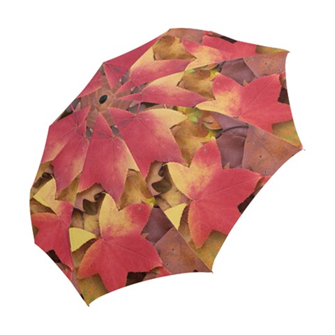 Folding Umbrella 