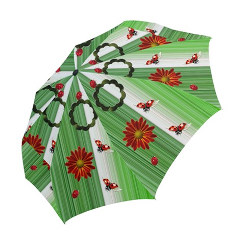 Folding Umbrella 