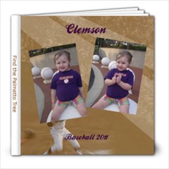 Baseball Game - 8x8 Photo Book (20 pages)