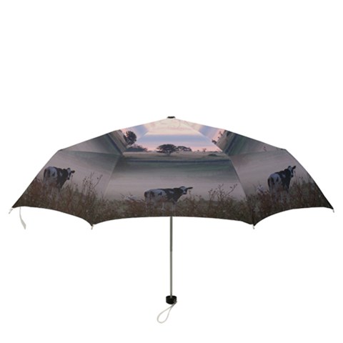 Folding Umbrella 