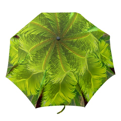 Folding Umbrella 