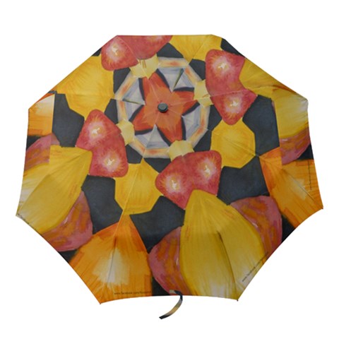 Folding Umbrella 