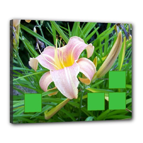 Day Lily - Canvas 20  x 16  (Stretched)