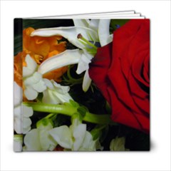 A Natural Family - 6x6 Photo Book (20 pages)