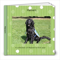 Malvern Photobook - 8x8 Photo Book (20 pages)