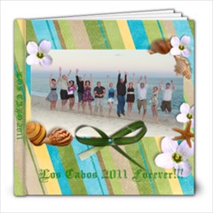 Los Cabos 2011 - 8x8 Photo Book (20 pages)