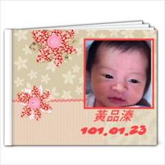 品溱 - 7x5 Photo Book (20 pages)