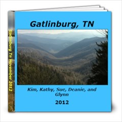 Gatlinburg Tn November 2012 - 8x8 Photo Book (20 pages)