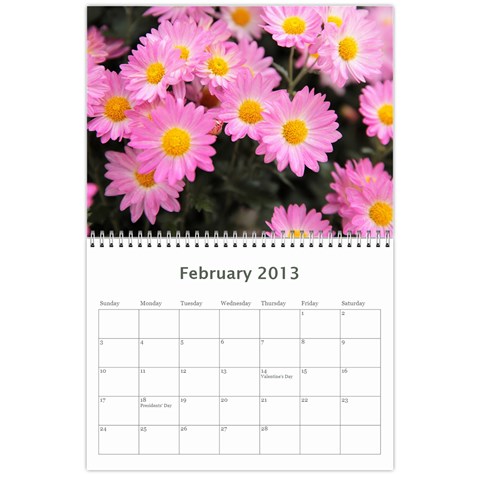 Chrysanthemum By Photo Feb 2013