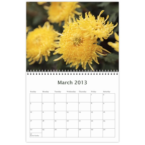 Chrysanthemum By Photo Mar 2013