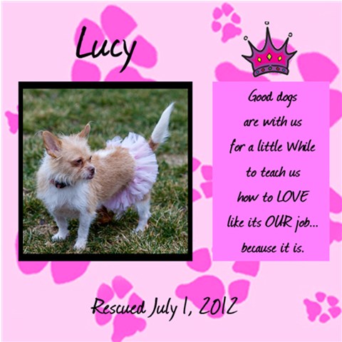 Lucy Pink 1 By Ann 12 x12  Scrapbook Page - 1