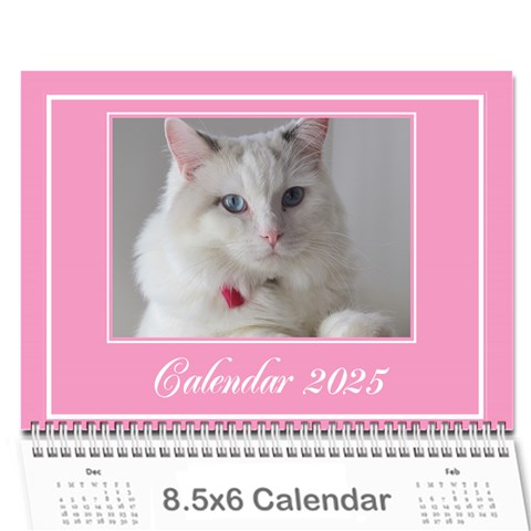 Pink Princess Wall Calendar (any Year) 8 5x6 By Deborah Cover