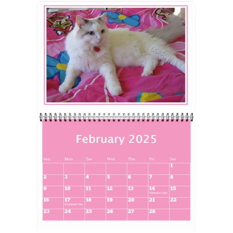 Pink Princess Wall Calendar (any Year) 8 5x6 By Deborah Feb 2025