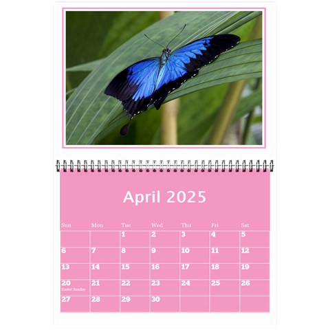 Pink Princess Wall Calendar (any Year) 8 5x6 By Deborah Apr 2025