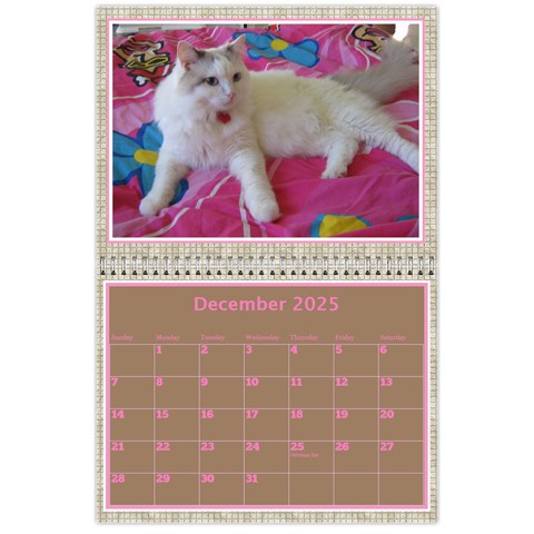 Pink Choc Wall Calendar 11x8 5 By Deborah Dec 2025