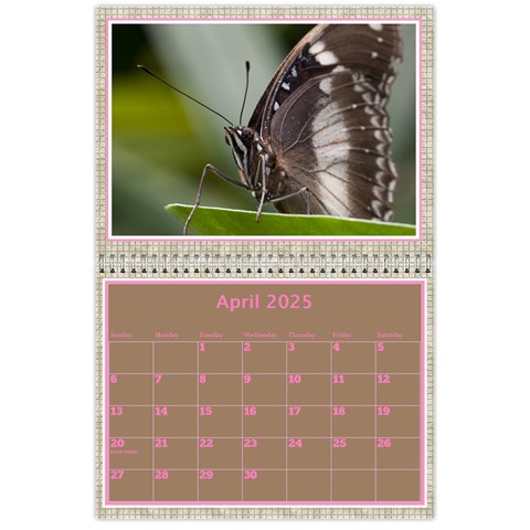 Pink Choc Wall Calendar 11x8 5 By Deborah Apr 2025