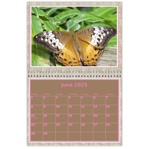 Pink Choc Wall Calendar 11x8 5 By Deborah Jun 2025