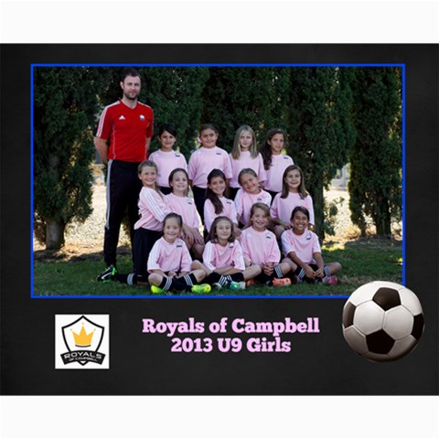 Royals U9 Girls 2013 By Arti Steinkamp 10 x8  Print - 14