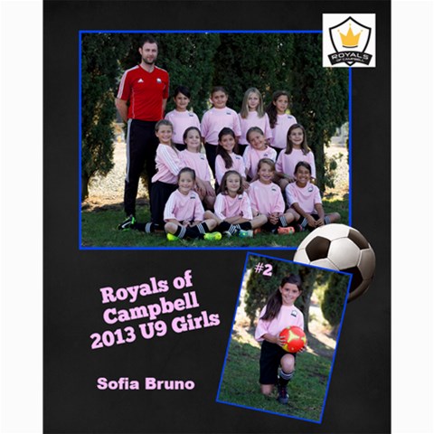 Royals U9 Girls 2013 By Arti Steinkamp 10 x8  Print - 8