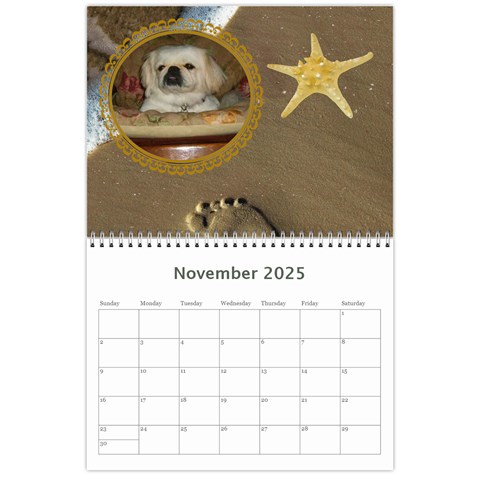 2025 Ocean Theme Calendar By Kim Blair Nov 2025