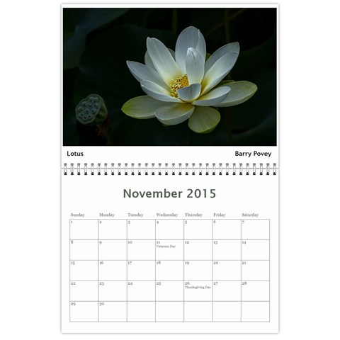 2015 Bvcc Calendar By Rosie Nov 2015