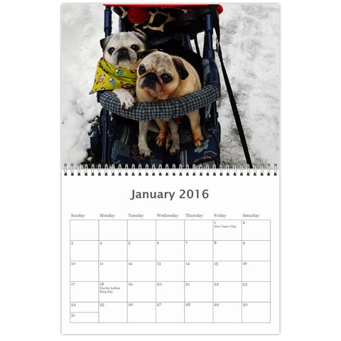 Pug Calendar Omi Clara 2016 By Lil Creatures Jan 2016