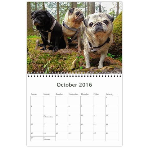 Pug Calendar Omi Clara 2016 By Lil Creatures Oct 2016